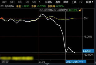 什么是偏股型基金？