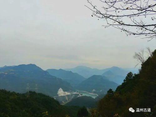 温州鹿城最高峰,风光秀美,你去过吗