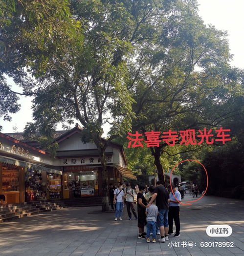 杭州一日游 灵隐寺法喜寺西湖断桥 