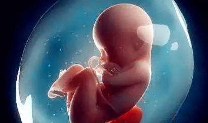 怀孕时,孕妈身体若有三个感觉,是胎儿在提醒你 该开饭了