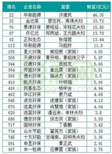 国轩高科上半年净利润飙升224%，海外营收暴增近3倍