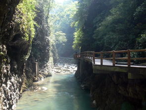 黑山谷图片,重庆黑山谷好玩嘛 有那些风景-第3张图片