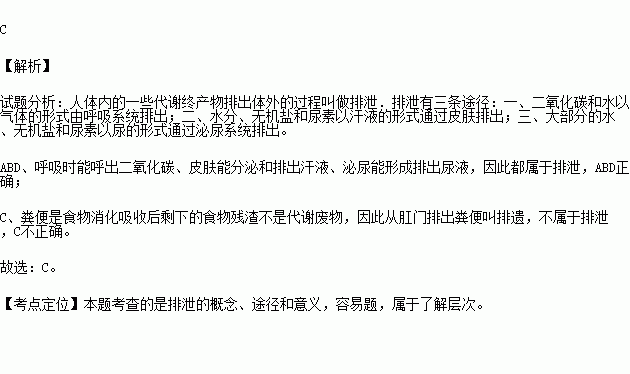 下列哪一项不属于排泄