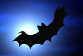 梦见大蝙蝠是什么意思梦到大蝙蝠好不好(梦见大蝙蝠是什么征兆)