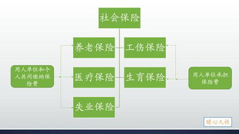 社保属于什么法律(社会保险法律规范属于什么法)