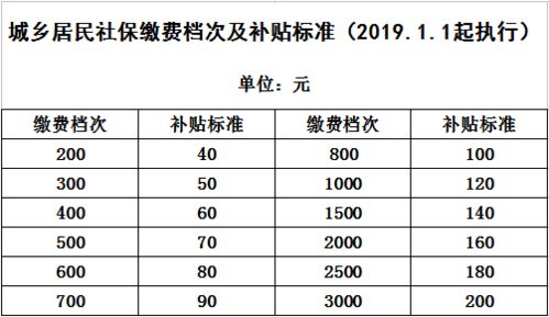 龙岩老人养老保险费多少钱养老保险交多少钱