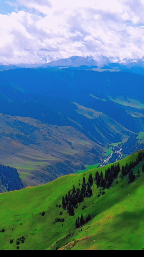 新疆的风景,新疆的壮丽自然风光