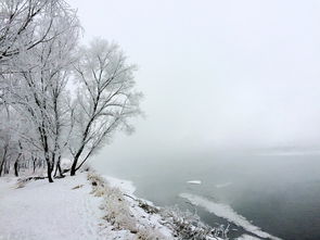 一场追雪的梦