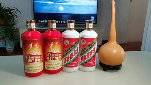 飞天迎宾和习酒窖藏1988哪个适合收藏