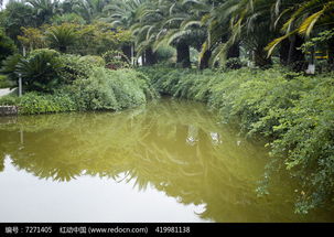 河水与绿色植物高清图片下载 红动网 
