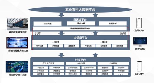 数字乡村软件优化农村数据资源整合