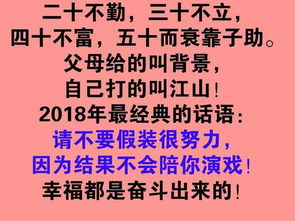 请不要假装努力,结果不会陪你演戏 2018,撸起袖子加油干 