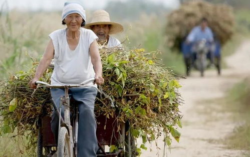 十指不沾泥的下一句,十指不沾泥的下一句是什么-第2张图片