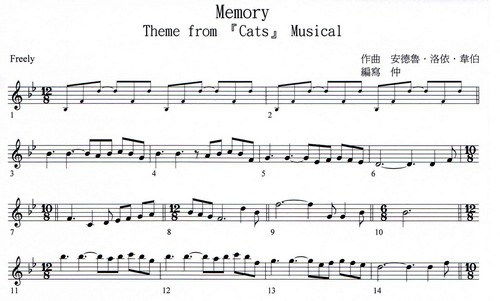 求求求,音乐剧猫中的memory的长笛版的伴奏和配套长笛曲谱 