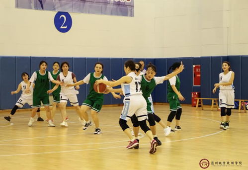 泸州篮球队女子单打教练泸州哪里有成人篮球教练培训班