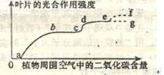 如何正确理解和应用查重与段相似度检测