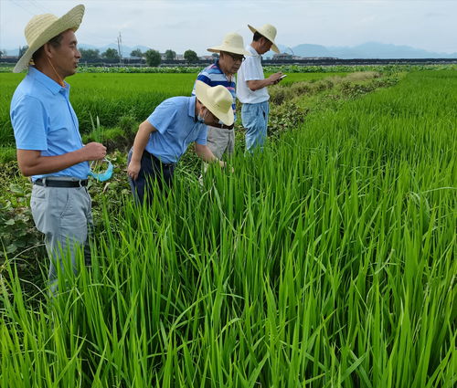 种质资源田间采集范文—农科院的学生学什么？