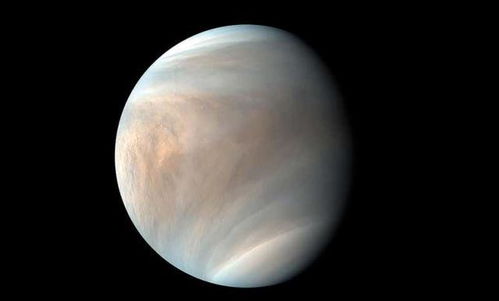 研究金星和水星的演变史将会告诉我们哪些系外行星适合生命存在