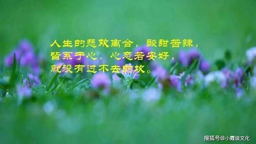 女人创业的励志句子,句句蕴含能量,激发你的潜能