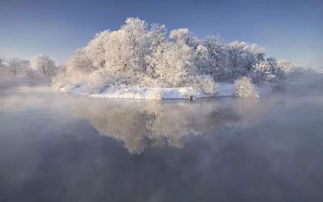 语文积累 15首雪景古诗词,惊艳了冬天 阳光学校,阳光教育集团,邯郸 