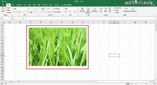Excel技巧 Excel表格怎么插入图片