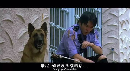 盘点周星驰电影里出现的狗狗,为什么星爷电影里总是有狗呢 