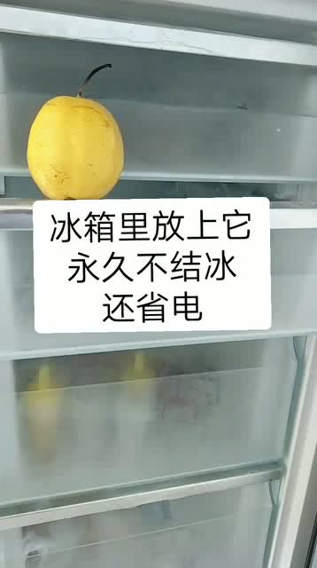 冰箱冷冻室不结冰的小妙招 