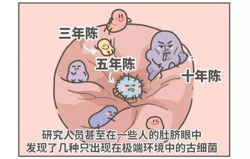 散落人间的15个冷知识,这迷乱的人情风物,让我的智商中了毒