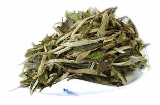 白茶白牡丹茶适合长期存放吗,福建大白茶适合保存多久？
