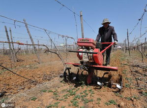 这台微耕机是农民回家种地的首选 能旋耕开沟起垄,老农妇女能用