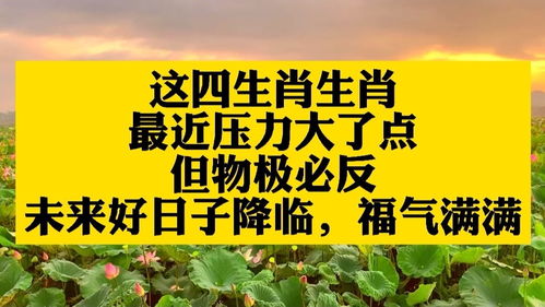 啥生肖最近压力大了点,但物极必反,未来好日子降临,福气满满 