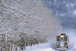 视界旅行 震撼 火车破雪前行,实在是太壮观了 