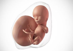 原创孕期，孕妈尽量少做这3件事，或许羊水更“清澈”，利于胎儿发育