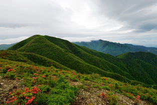 蚩尤故里 漫山杜鹃 云海佛光,湖南周末新去处 