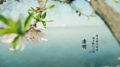 清明时节习俗多