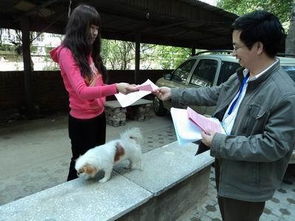 北京市养犬管理规定的第二十六条 