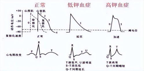 为什么钾的硬度比钠的硬度大(为什么钾比钠的金属性强)