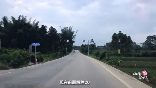 自驾游中国,途径贺州710县道,这条路太难开经常测速限速20 