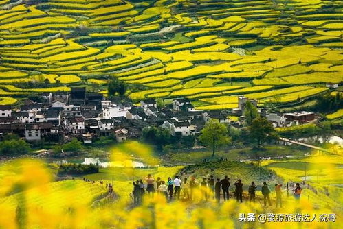 婺源旅游最佳时间 婺源什么季节去最好,推荐一下婺源的游玩路线及景点攻略之类的