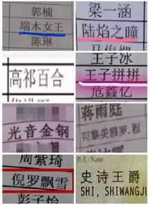 女孩取名王者荣耀,还有哪些名字更逗趣 你知道名人如何起名吗 话题