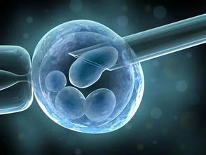 试管囊胚级别成功孕育的关键，品质与专业的结合！