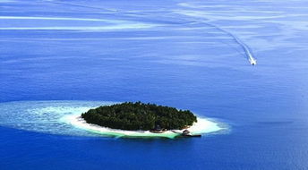 马尔代夫伊瑚鲁岛浮潜探索神秘珊瑚世界的绝佳去处