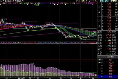600355未来走势如何?