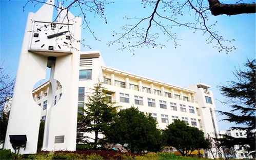 青岛大学在哪(青岛大学在哪个地方)