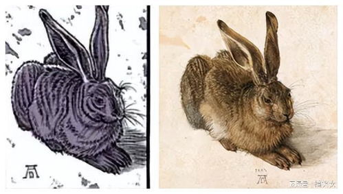 丢勒如何通过精湛的绘画技巧,使得画中的野兔更加的有立体感