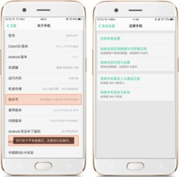 oppo手机怎么关闭开发者模式,OPPO手机如何关闭开发者模式？轻松操作，保障手机安全