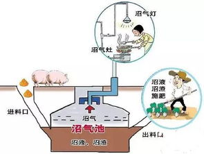 果树施用沼气肥的好处