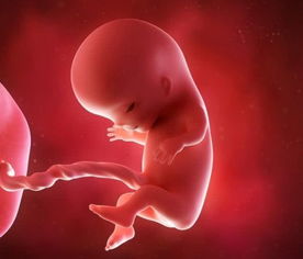 原创女人怀孕后，若有这3种“现象”，或许是胎儿发育“良好”的表现