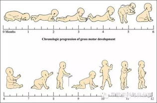 图解 你家宝宝的运动能力发展落后了吗