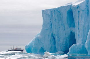 有一种此生无憾,叫作南极冰潜